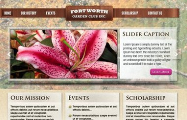 Fort Worth Web Design